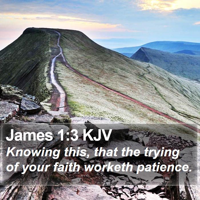 James 1:3 KJV Bible Study