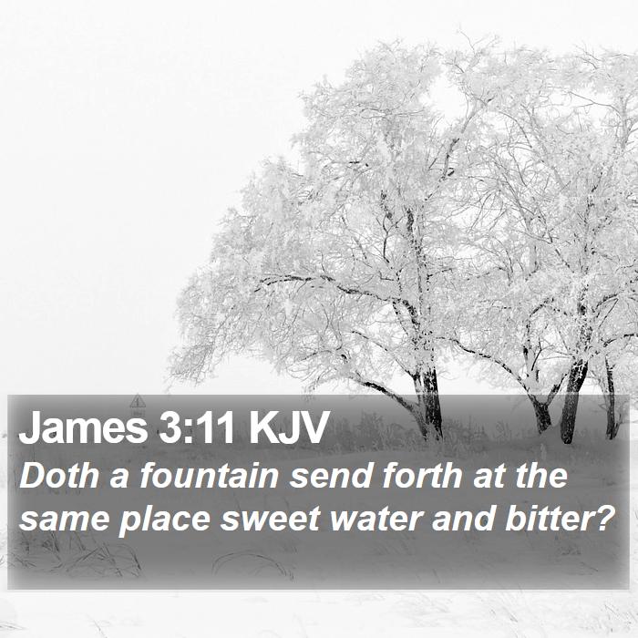 James 3:11 KJV Bible Study