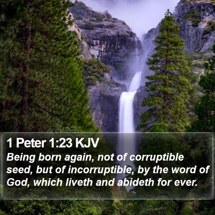 1 Peter 1:23 KJV Bible Study