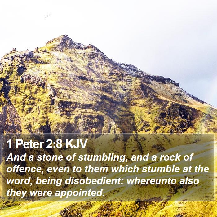 1 Peter 2:8 KJV Bible Study