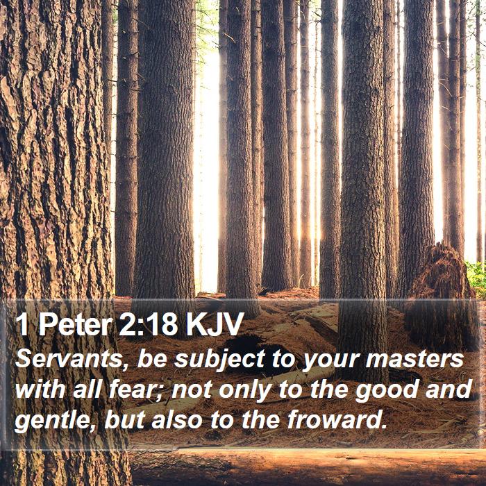 1 Peter 2:18 KJV Bible Study