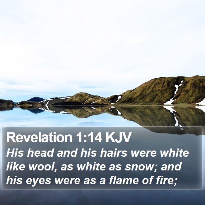 Revelation 1:14 KJV Bible Study