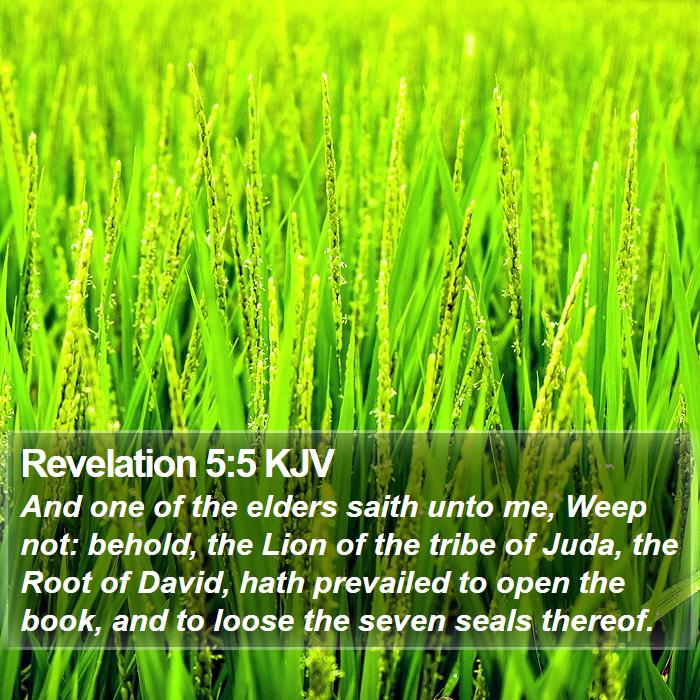 Revelation 5:5 KJV Bible Study