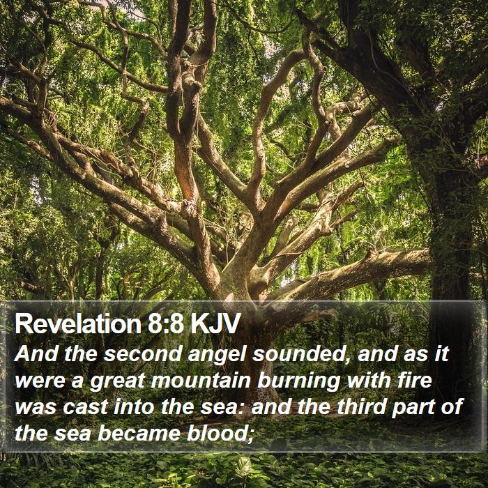 Revelation 8:8 KJV Bible Study